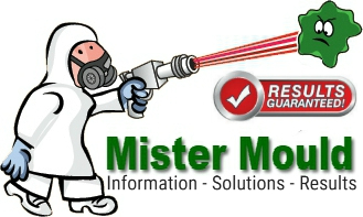 Mister Mould. Mould removal, Mould cleaning.