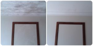 Bathroom mould removal