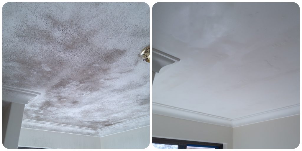 Bathroom mould removal