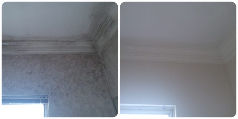 Bathroom mould removal before and after