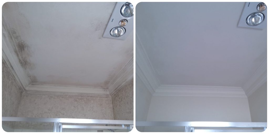 Bathroom mould removal