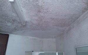 Bathroom mould removal with inspection