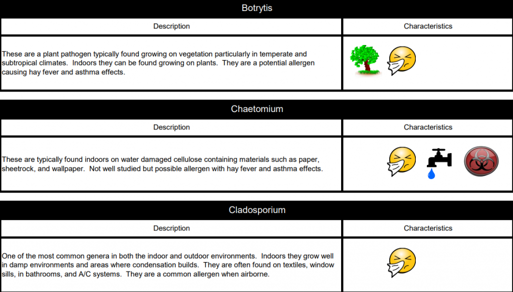 Mould types