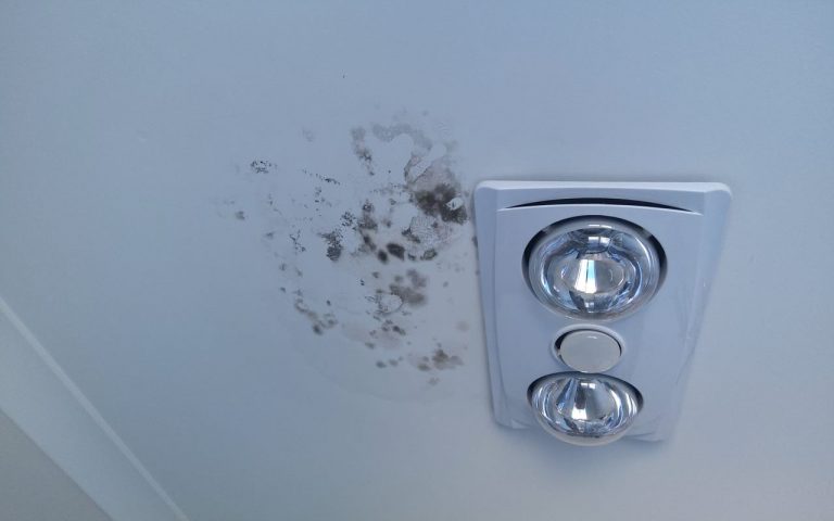 Bathroom mould removal before and after