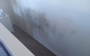 Bedroom mould removal before and after