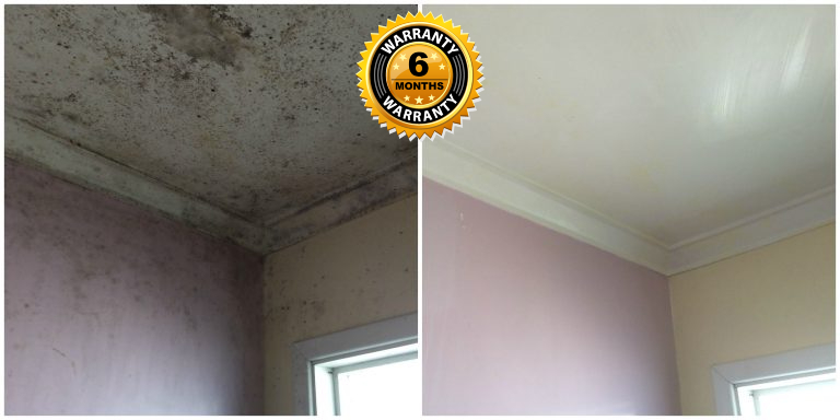 Bathroom mould removal