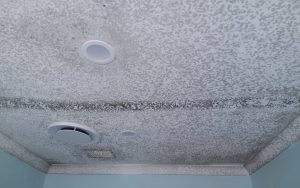 Bathroom mould removal before and after