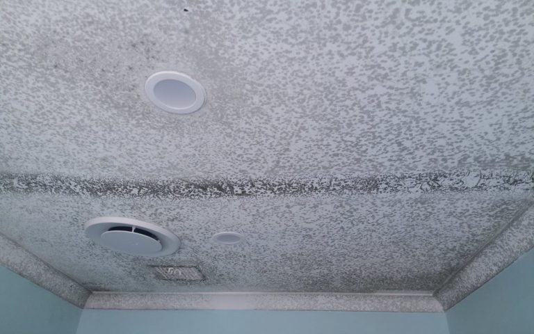 Bathroom mould removal before and after